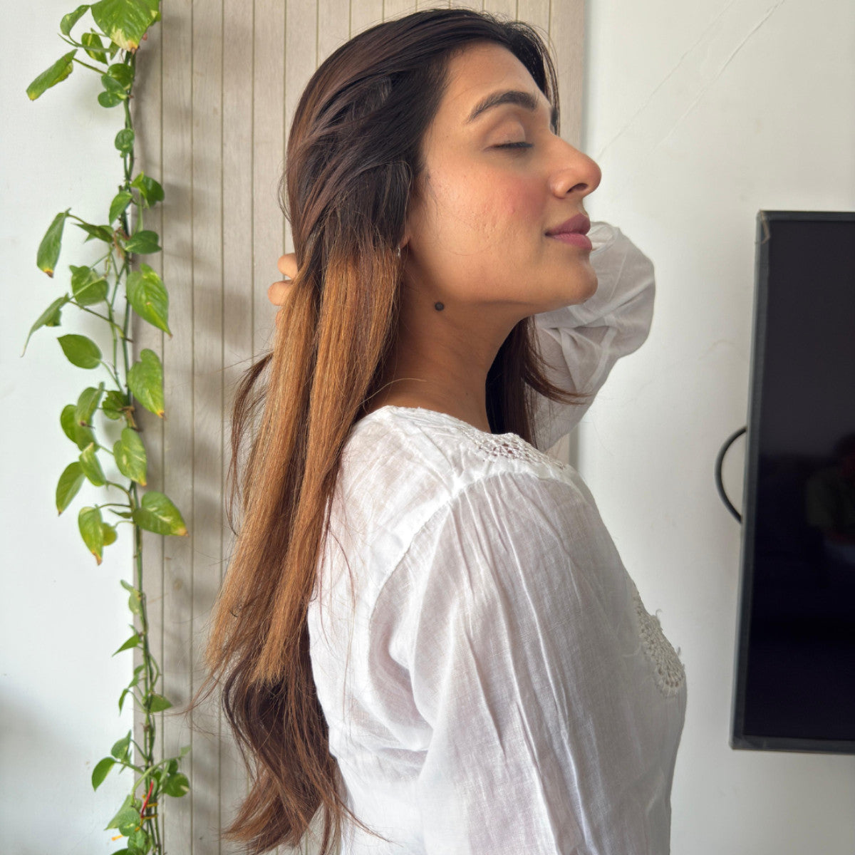 Ombre Nut Brown|Clip-in Hair Streaks | Ewa Hair